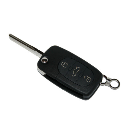 AKK1 Audi Key